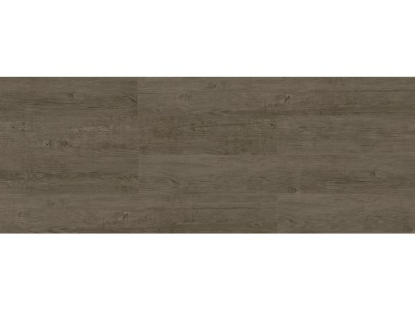 Model Albaro, Colectia Grit