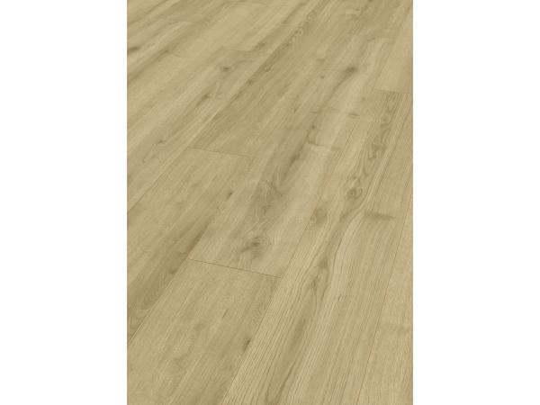 Model Adaja Oak, Colectia Robusto