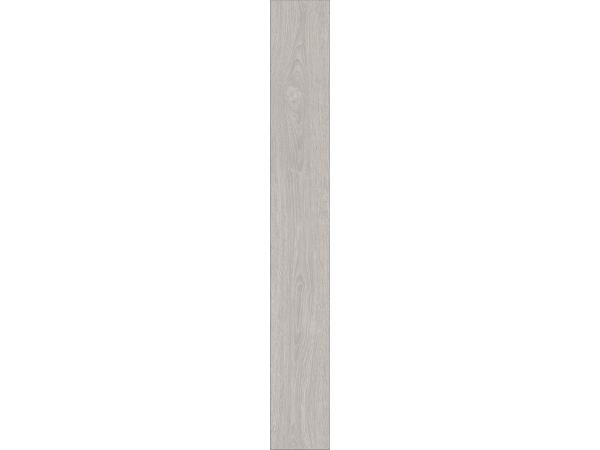 Capital-Oak-LightR1-a8