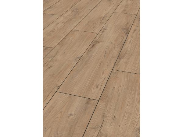 Model Chestnut Pinot, Colectia Exquisit Plus