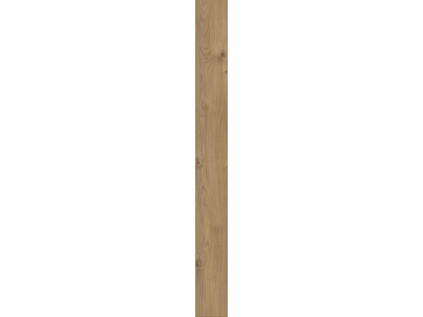 Everest-Oak-Nature1-f6