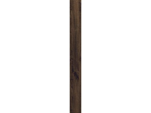 Everest-Oak1-62