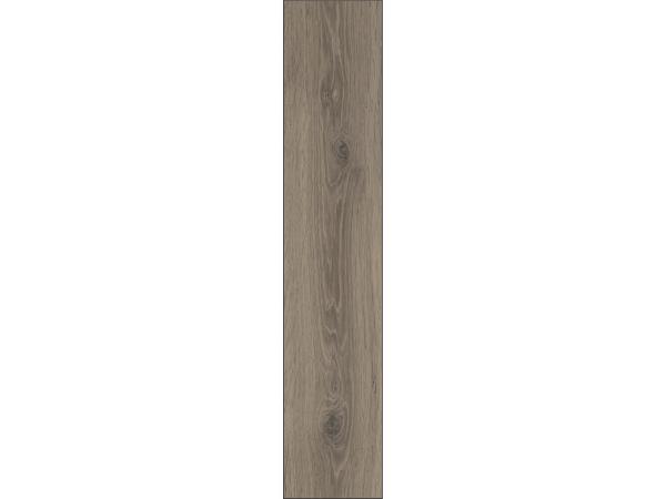 Ferrara-Oak1-3e