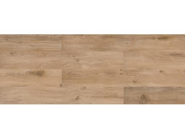 Model Gasto, Colectia Grit