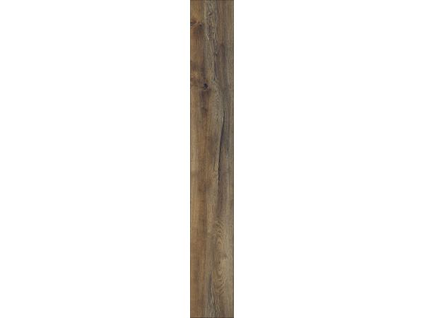 Harbour-Oak1-b0
