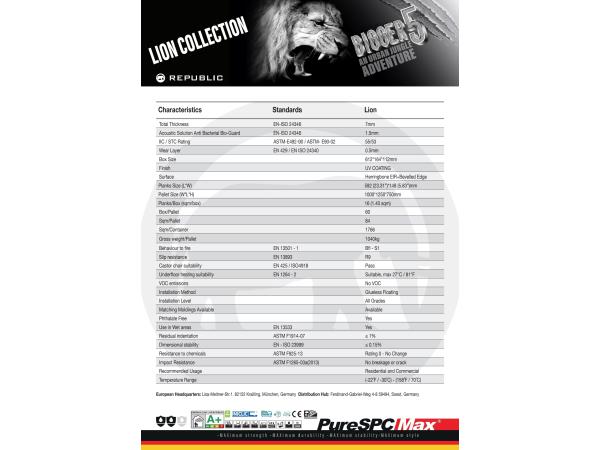LION_TEHNIC-6e