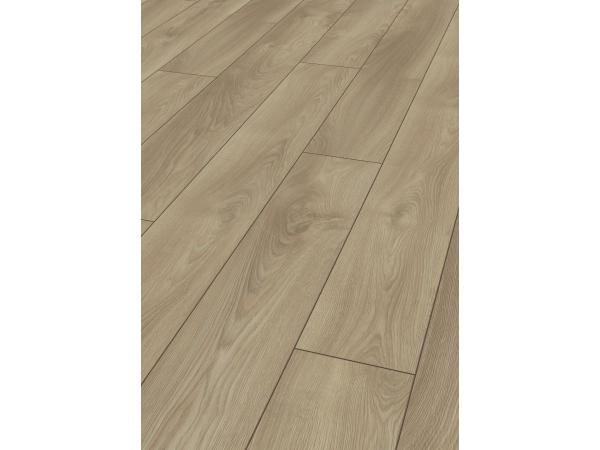 Model  Macro Oak light, Colectia Mammut