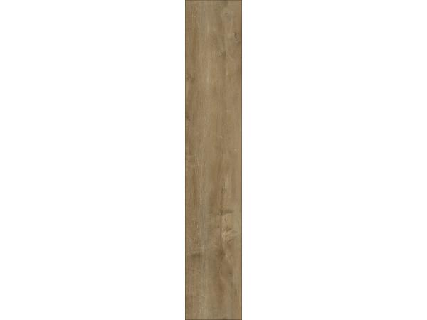 Oriental-Oak-Nature1-4e