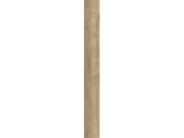 Pettersson-Oak-nature1-eb