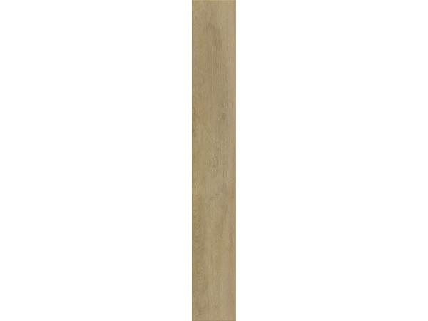 Premium-Oak-Nature1-43