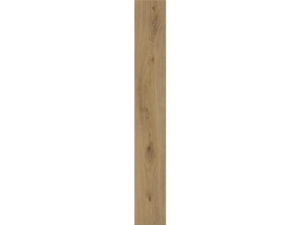 Prestige-Oak-LightE1-a7
