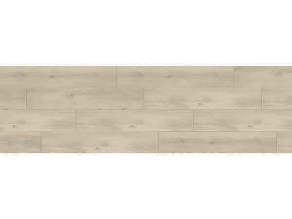 Model Sheesh, Coletia Grizzly