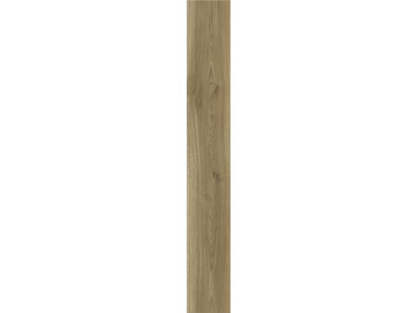 Sierra-Oak-Gold1-75