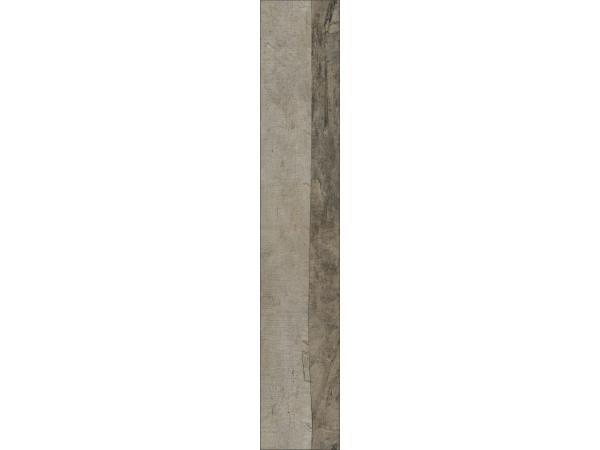 Trail-Oak1-ba