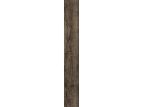 Tyler-Oak1-4d