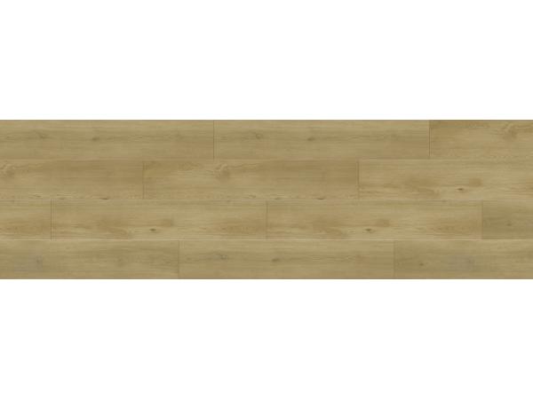 Model Wyld, Coletia Grizzly