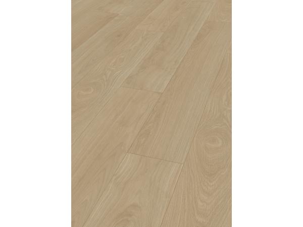 aveless-Oak-Nature-b6