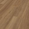Ageless-Teak-55