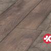 Beach-Oak3-d0