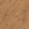 Everest-Oak-Nature-86