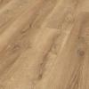 Mountain-oak-nature-c3