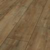 Oriental-Oak-Nature-c5