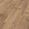 Pettersson-Oak-nature-2b