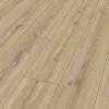 Phalsbourg-Oak-52