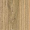 Phalsbourg-Oak1-31