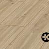 Phalsbourg-Oak3-15