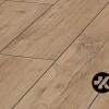 Smart-Chestnut3-b9