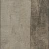 Trail-Oak1-ba